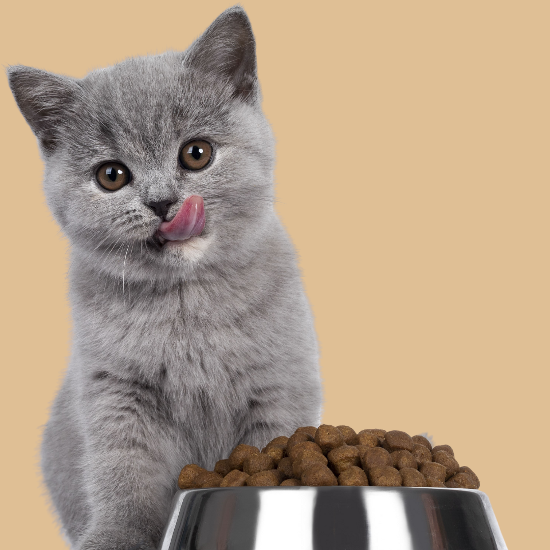 Dry Cat Food Mobile Pet Foods