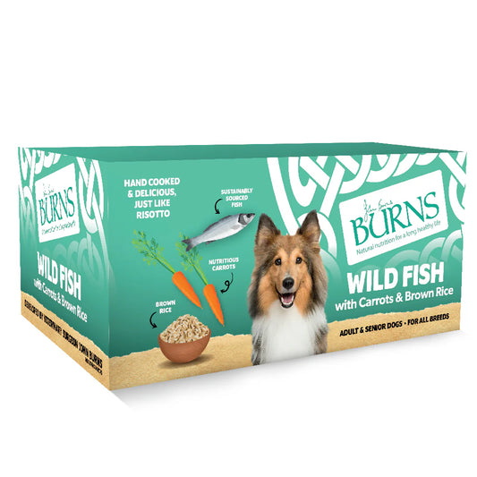 Burns Wet Food Wild Fish, Carrots & Brown Rice 395g