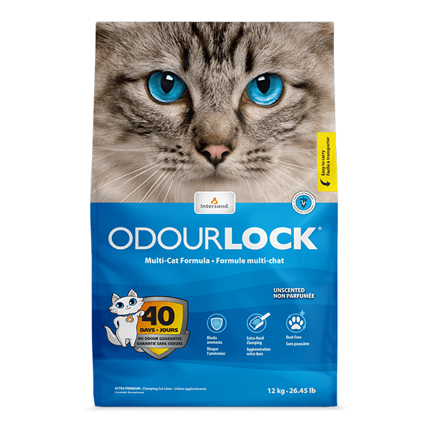 Intersand Odourlock