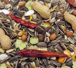 Parrot Mix 12.5kg