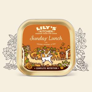 Kenner natuurlijk compleet adult - hondenvoer - 20 kg aanbieding bij