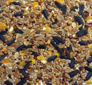 Wild Bird Food 2kg