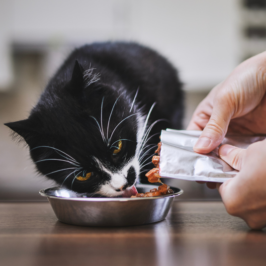 Cat food Mobile Pet Foods