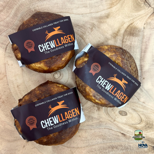 Chewllagen Beef Donut 3.5"