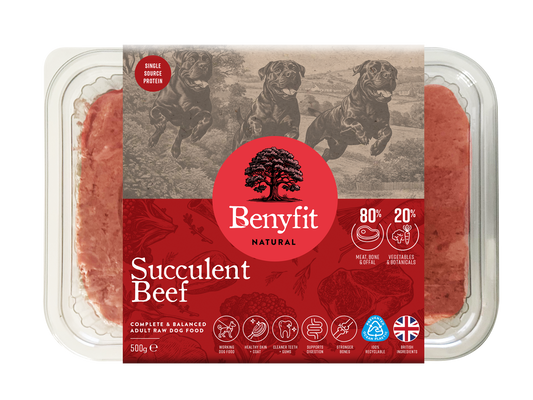 Benyfit Natural Succulent Beef