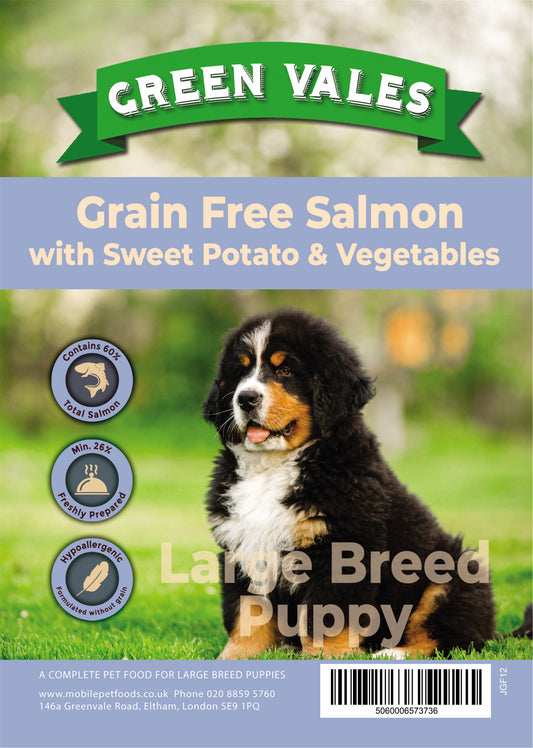 Green Vales Grain Free Puppy Large Breed Salmon & Sweet Potato 2kg