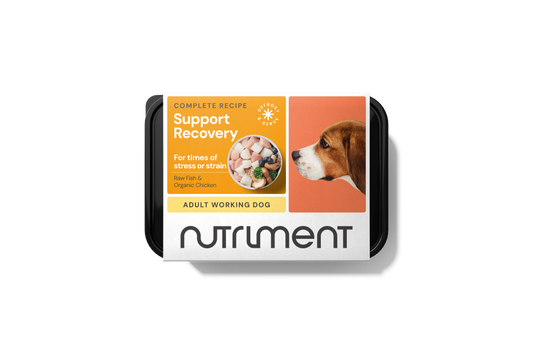 Nutriment Recovery Support 500g