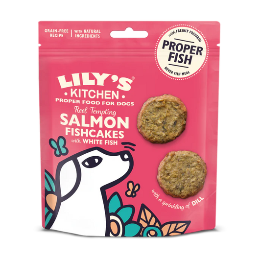 Lily's Kitchen Salmon Fishcakes Treats 70g