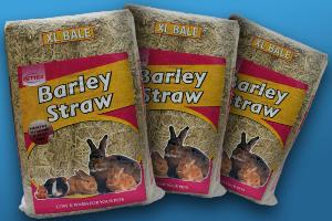 Barley Straw Large Bale