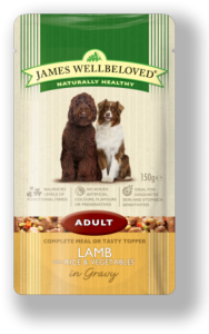 James Wellbeloved Pouch Adult Lamb 150gx10