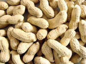 Peanuts In Shells 500g