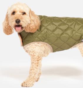 Danish Design Quilted Dog Coat Green 35cm